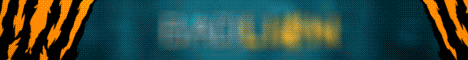 Badlion Network